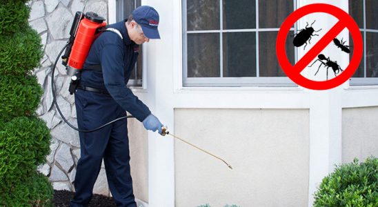 Payamlı Tahtakurusu İlaçlama böcek ilaçlama ve haşere kontrolü — ilaclama-tr.com